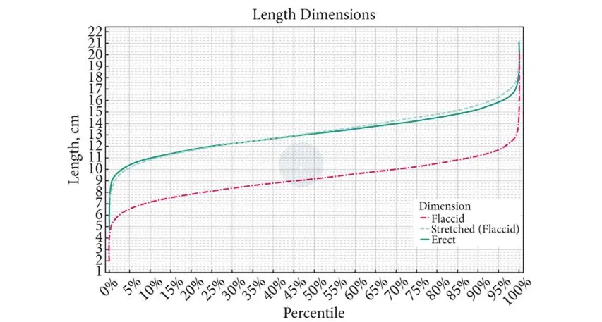 Penis Length distribution 