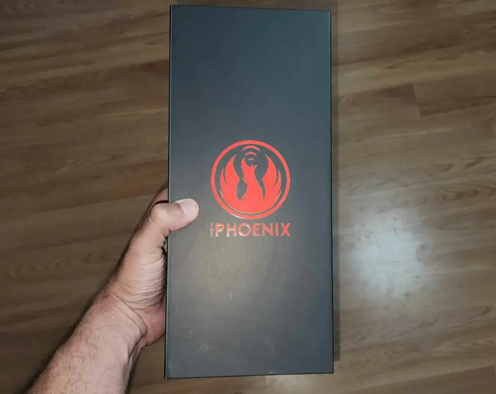 holding the Phoenix box