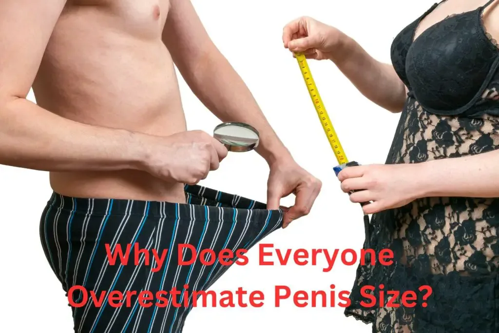 Why Does Everyone Overestimate Penis Size?