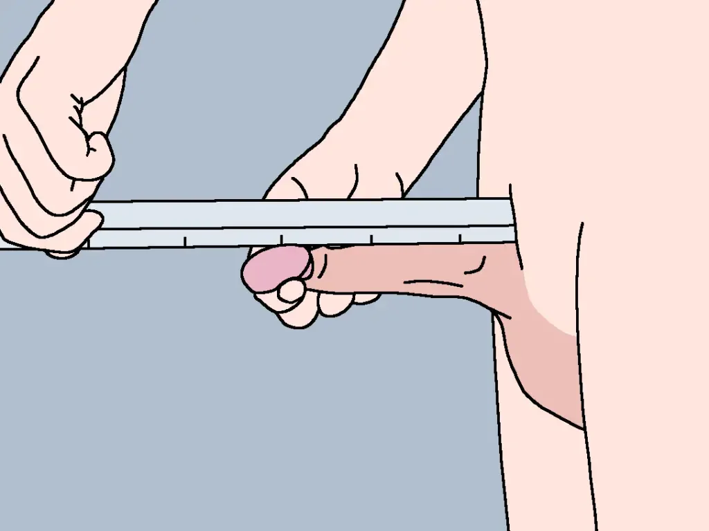 How to measure you penis