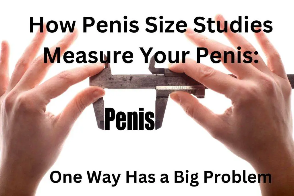 How Penis Size Studies Measure Your Penis